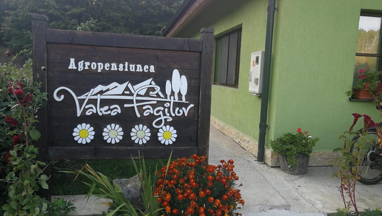 Agropensiunea Valea Fagilor Luncavita Екстер'єр фото